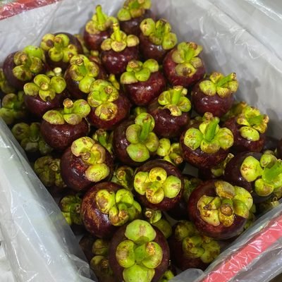 Fresh mangosteen packed in a lined export crate