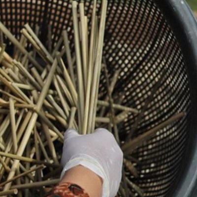 Hand-sorting cut straws
