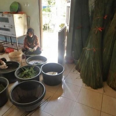 Sorting and soaking purun stems